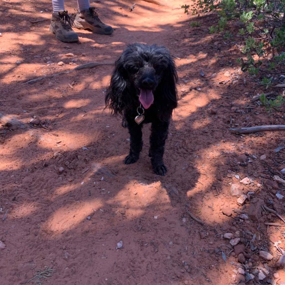 Meet your Posher, Karen